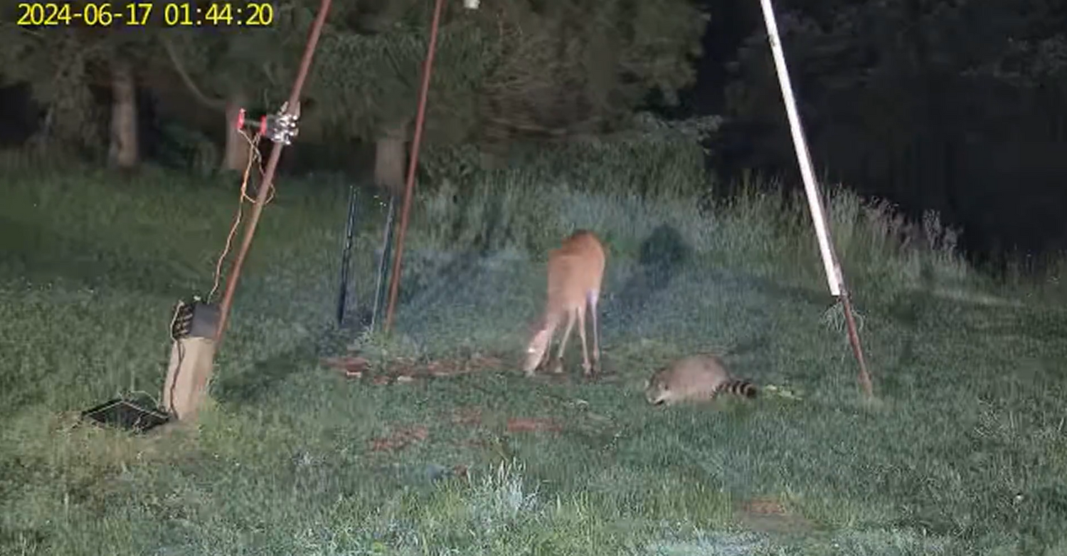 Remote Webcam Monitoring Made Simple with Soliom