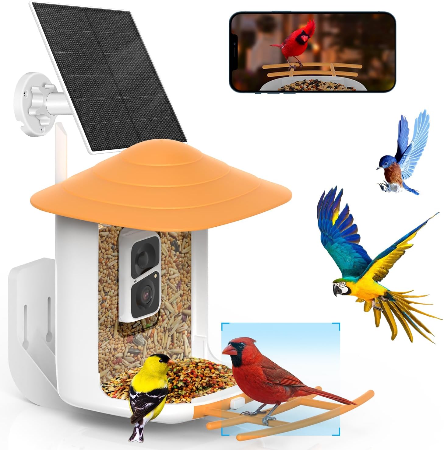 Soliom BF10 BF08 BF09 bird feeder camera 3W solar panel only also suitable for BF09 bird feeder camera