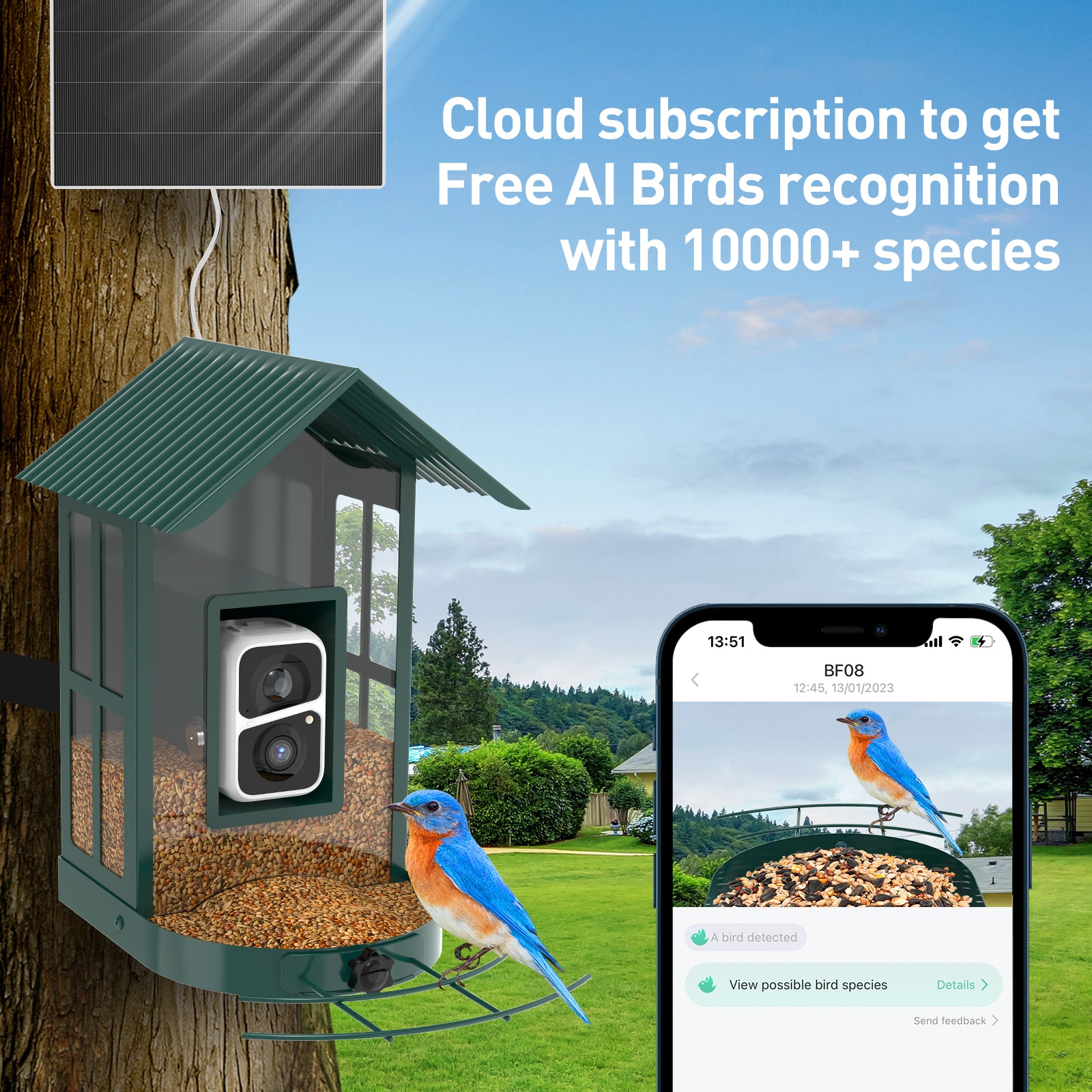 SOLIOM® BF08 2.7L Solar Smart Bird Feeder AI Camera, Wireless Wifi HD Video Live Cam with app, Metal Bird House, Outdoor Backyard Bird Watching Cam