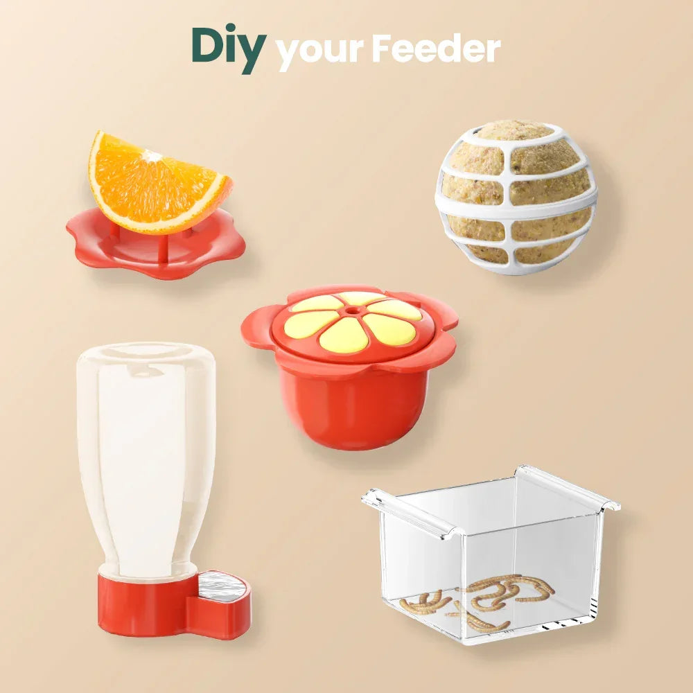 SOLIOM® BF08s AI Smart Bird Feeder Camera with 2K Live Video, DIY Feeder Add-ons, 1.6L - Soliom