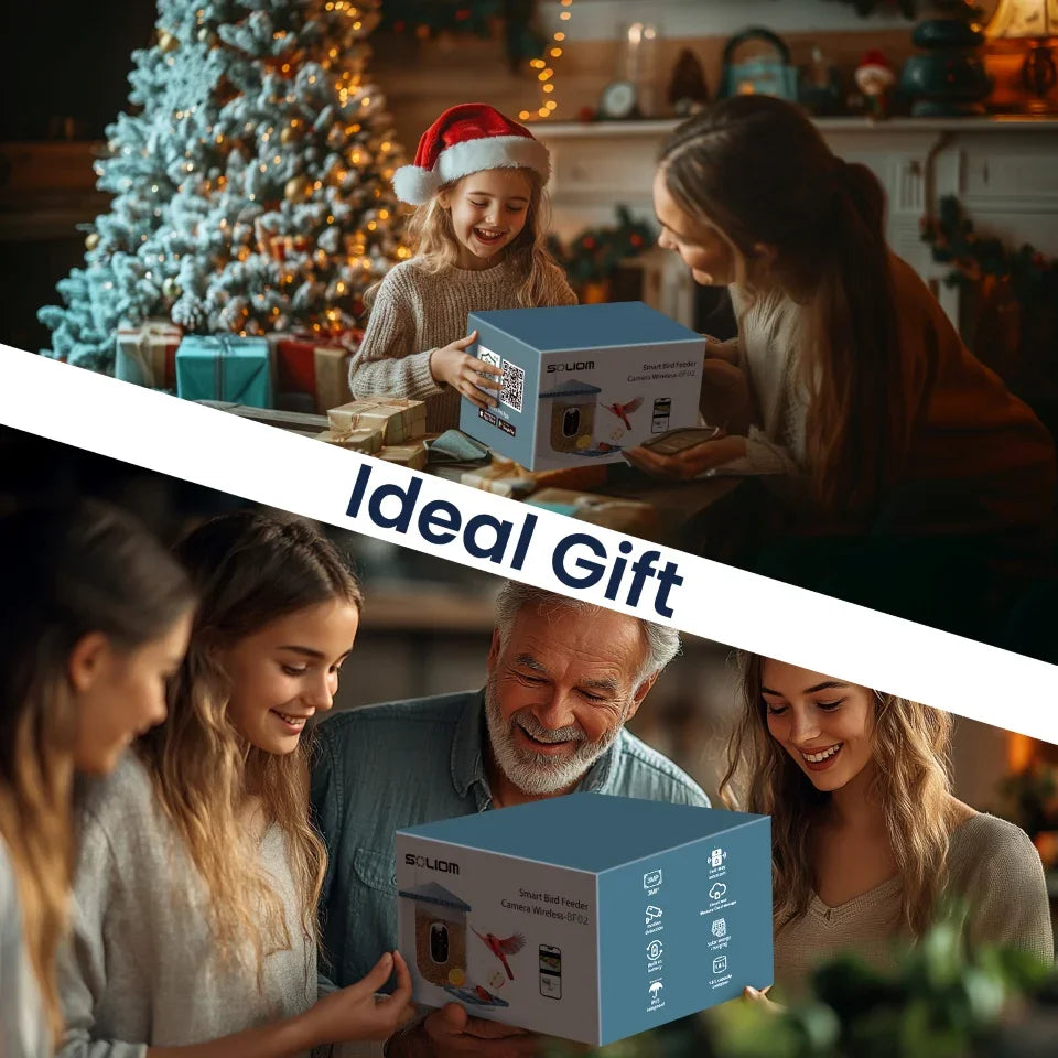 Soliom BF02 Bird Feeder,2K HD,AI Recognition,3W Solar Panel, Pole-Compatible Design - Soliom