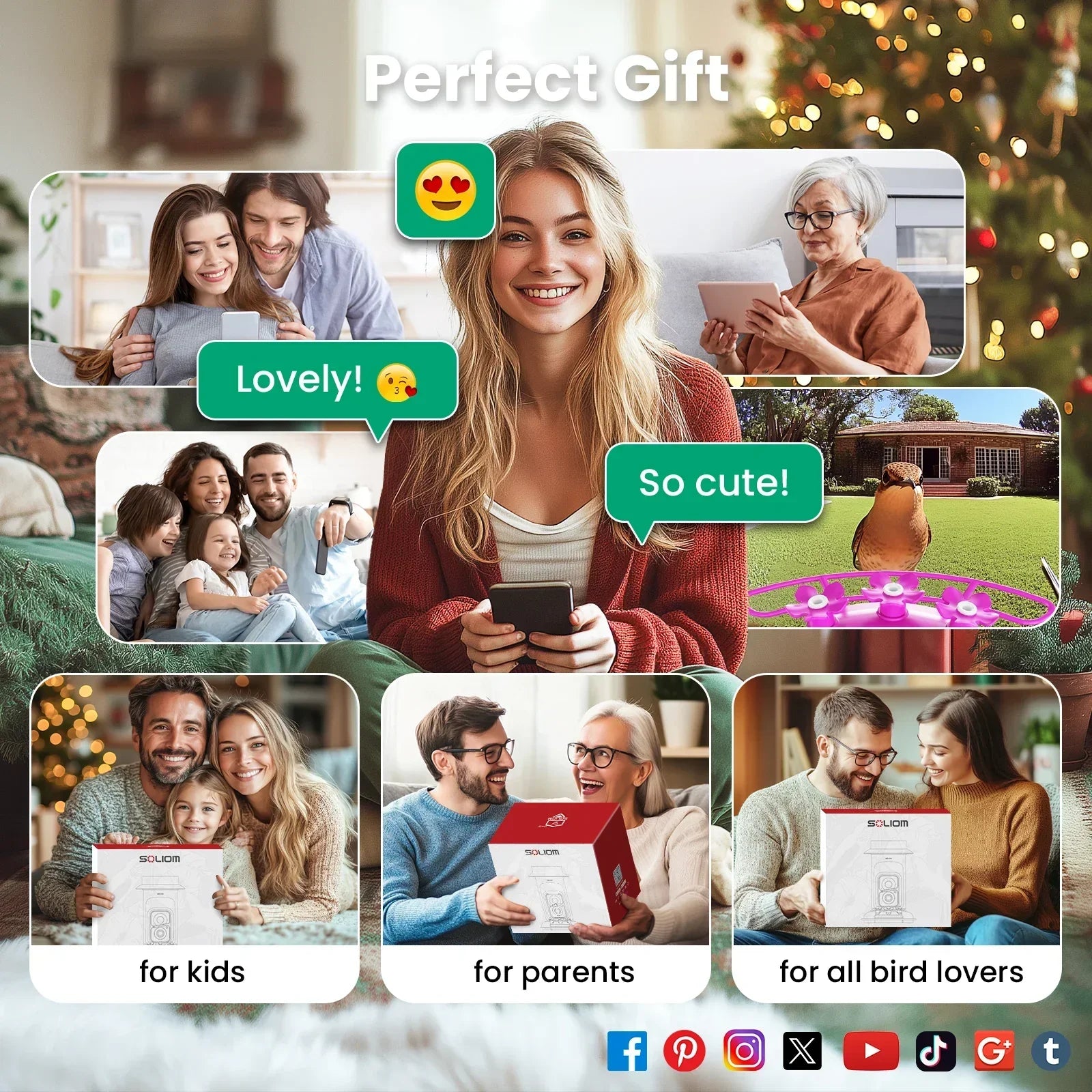 Soliom Humbirdy BF10P - Smart Hummingbird Feeder-16OZ, Perfect Gift for Family,Pole Fitting - Soliom