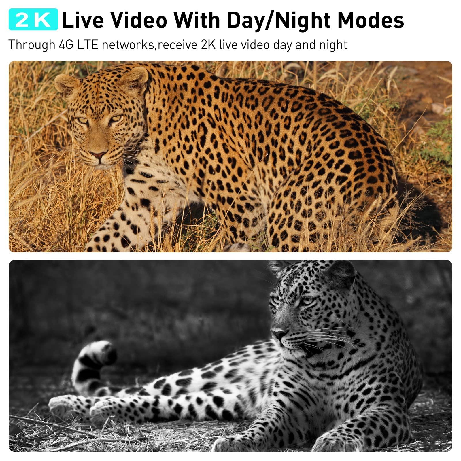 SOLIOM S50 4G Cellular Trail Camera,No WiFi Wireless Outdoor Security Camera with Solar Panel,Pan Tilt 355°View,2K HD Solution,Night Vision,32GB Memory Card,3N Sim Card for Verizon, AT&T and T-Mobile - Soliom