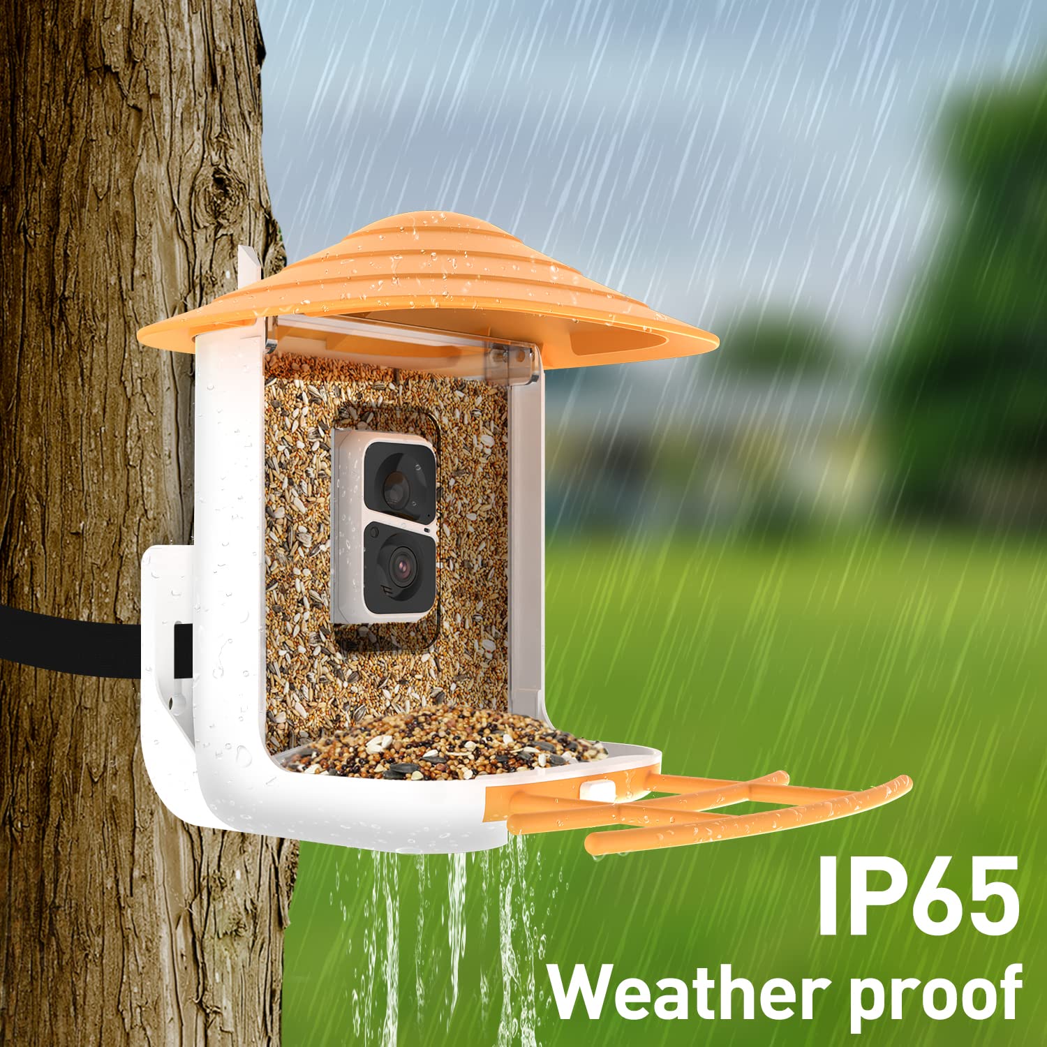Soliom BF09-Bird Feeder with Camera Wireless Outdoor,Auto Record Bird Video, Instant Notifications, 5W Solar Panel and 32GB SD Card