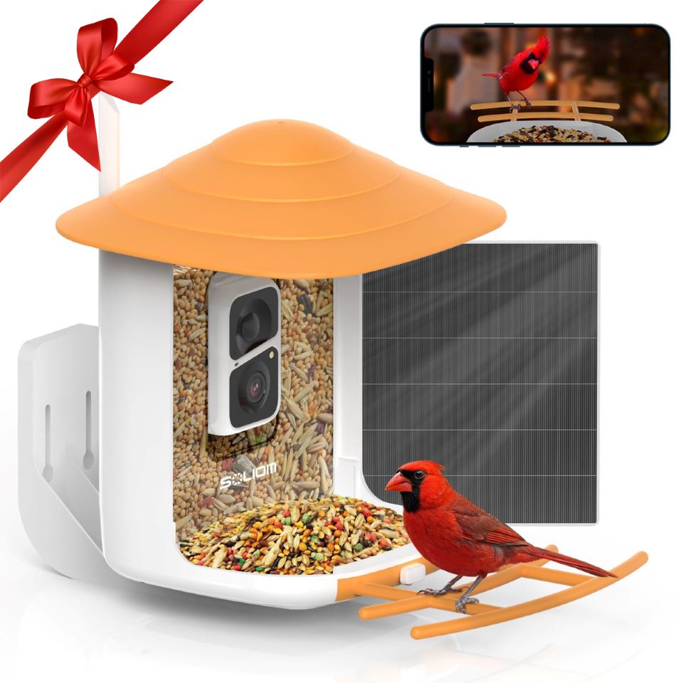 Soliom BF09 Bird Feeder with endless solar power, Pole Fitting - Soliom