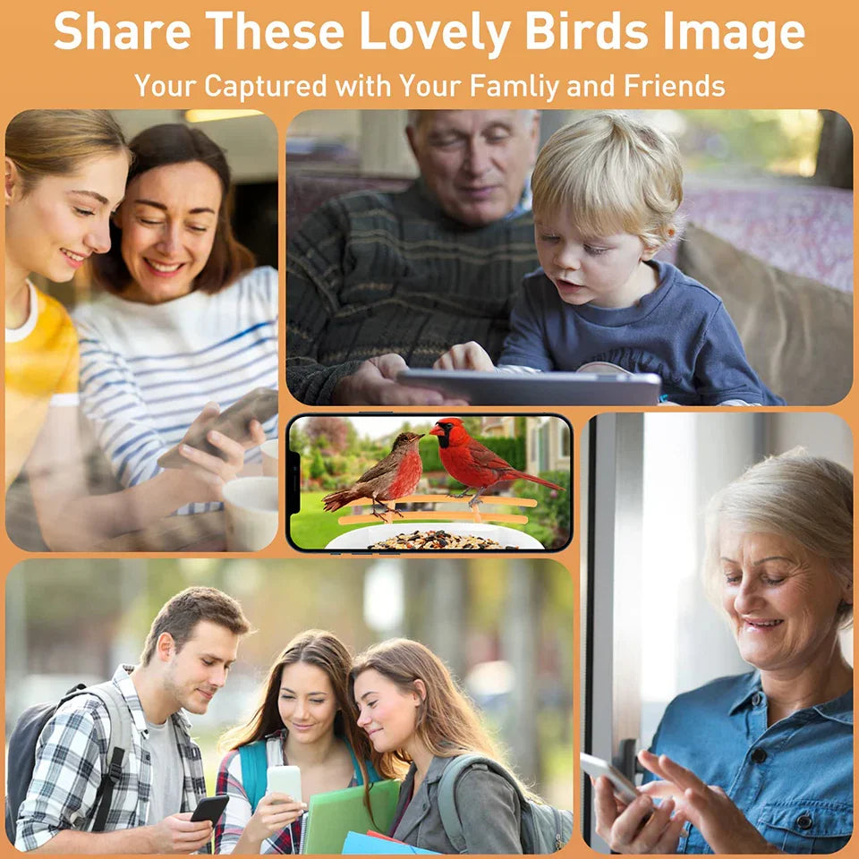 Soliom BF09 Bird Feeder with endless solar power, Pole Fitting - Soliom