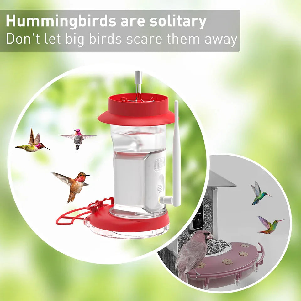 Soliom BF10 Smart Hummingbird Feeder with Ant Moat,AI Identify Bird Species(16 Ounces) - Soliom