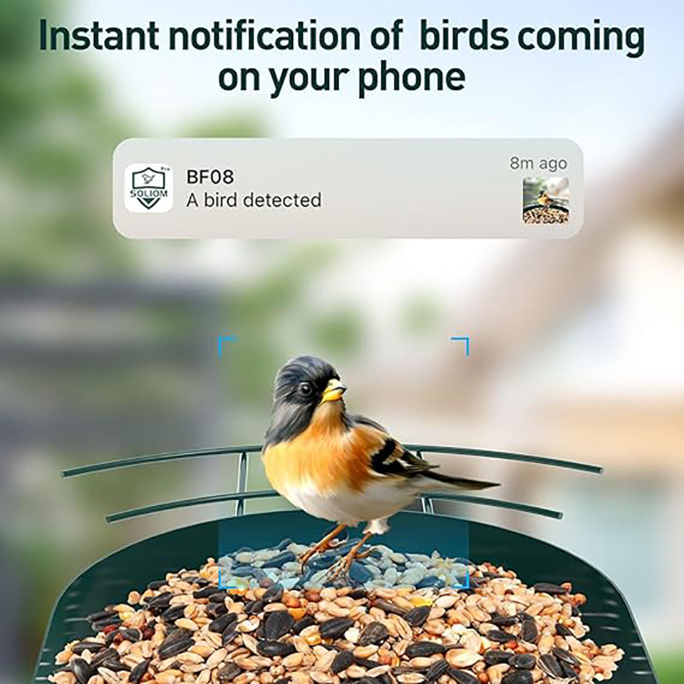 Soliom BF08S Smart Bird Feeder With Solar Power Metal Case-1.6L-with DIY Add-ons, 2K resolution - Soliom
