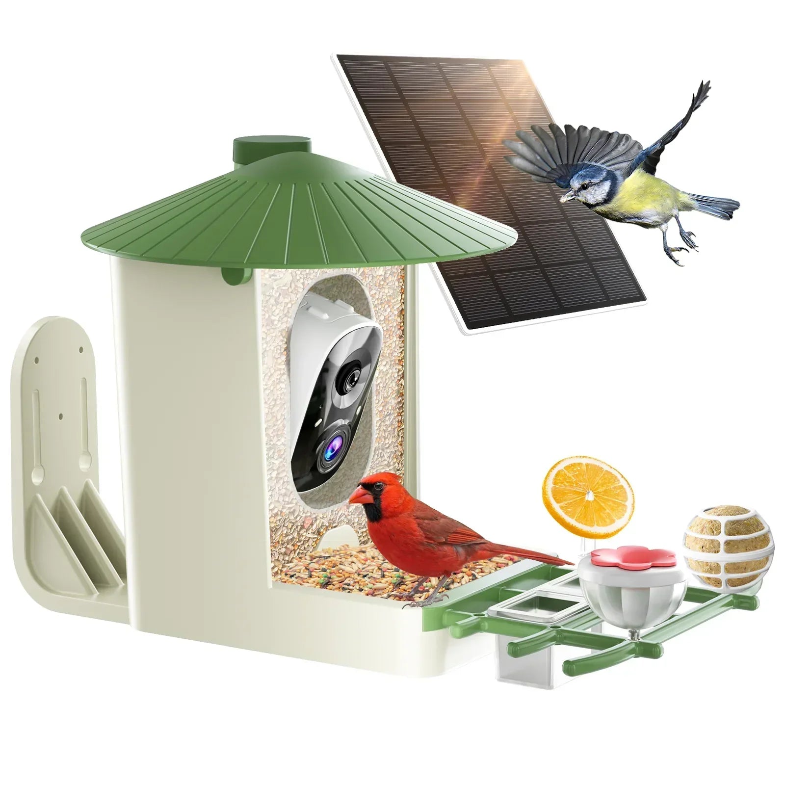 SOLIOM Smart Bird Feeder Camera with Solar Panel - 1.25L– 2K HD Live View, AI Bird Recognition, Real-Time Alerts, Customizable Feeding Options, Wireless Outdoor Gift for Bird Lovers - Soliom