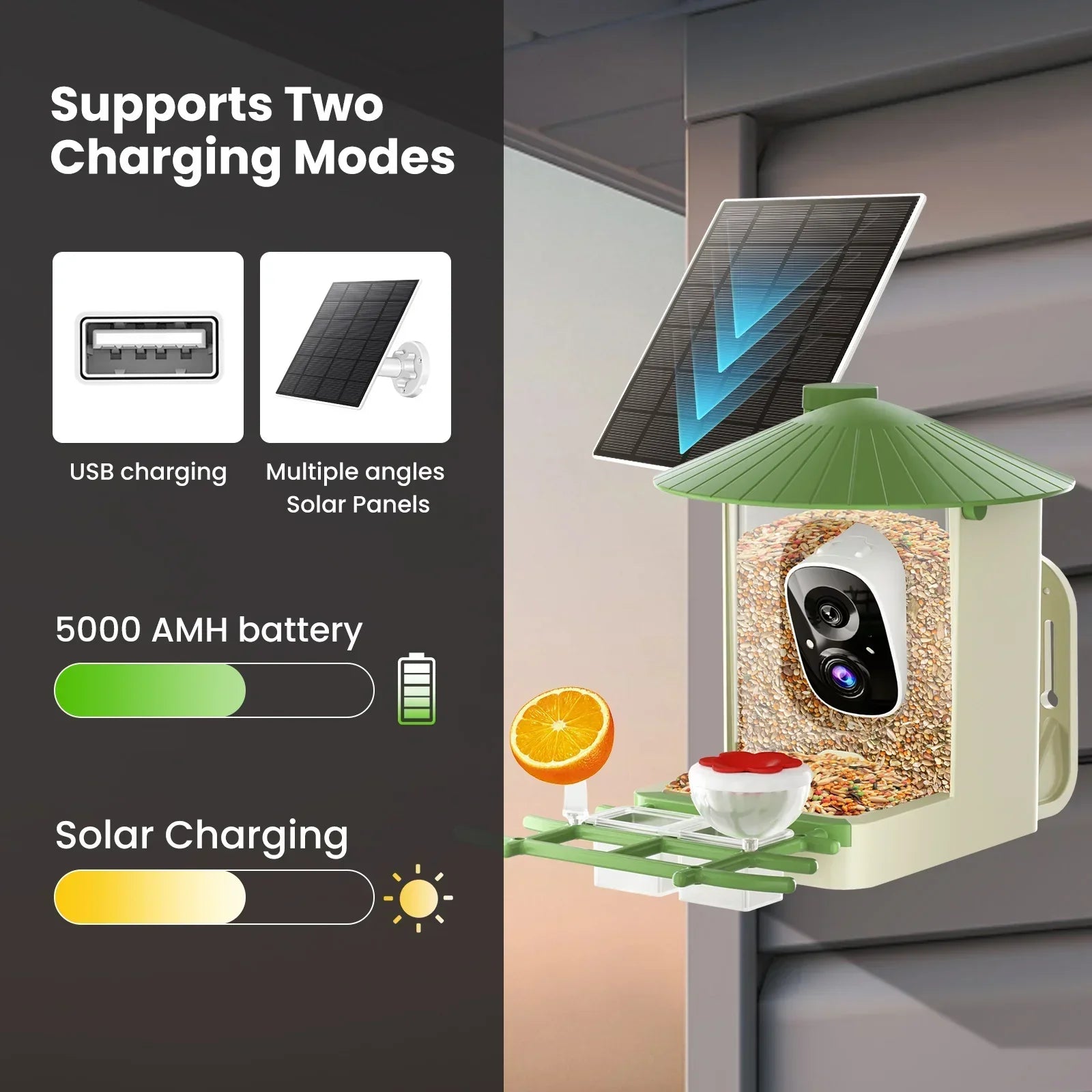 SOLIOM Smart Bird Feeder Camera with Solar Panel - 1.25L– 2K HD Live View, AI Bird Recognition, Real-Time Alerts, Customizable Feeding Options, Wireless Outdoor Gift for Bird Lovers - Soliom