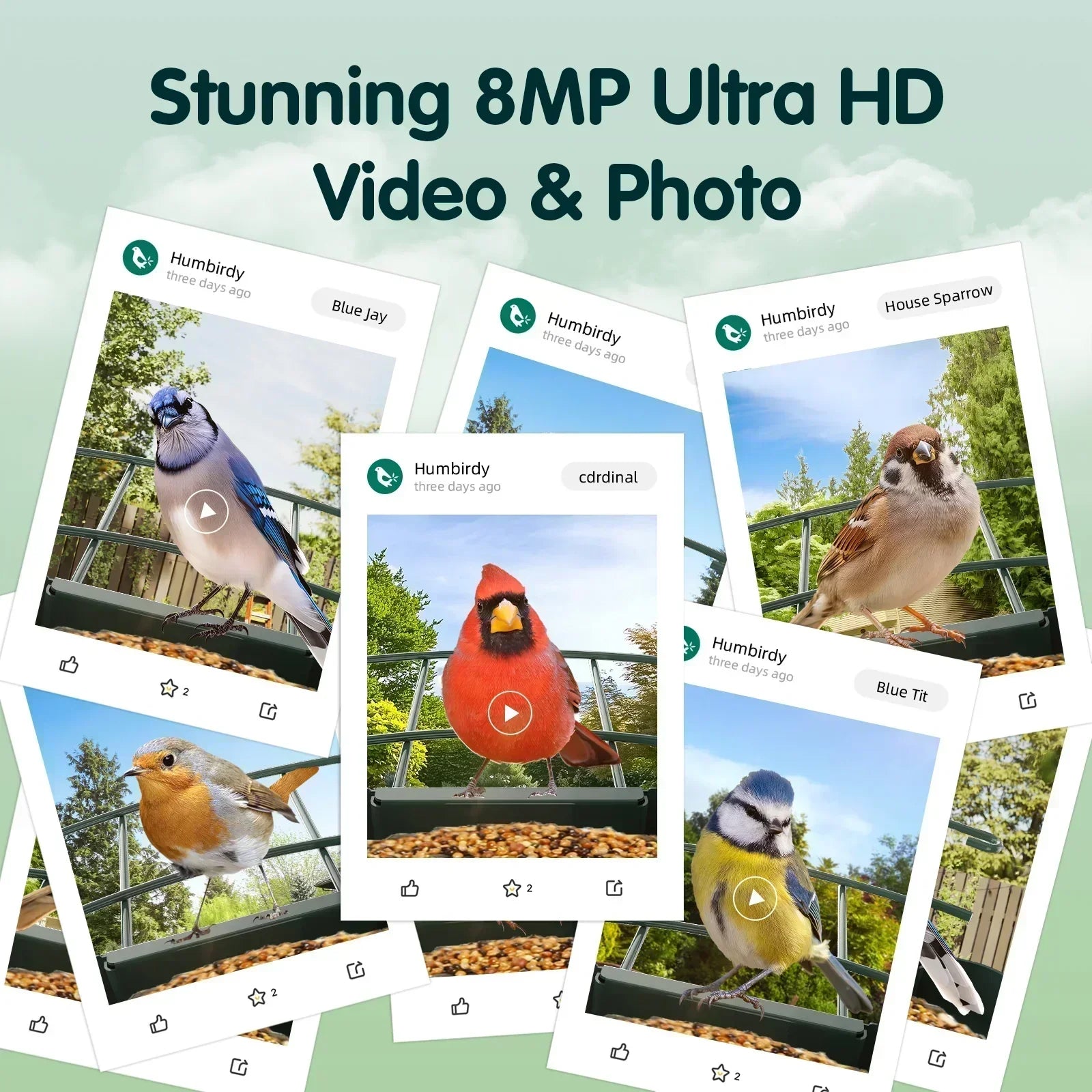 Humbirdy Smart Bird Feeder with Camera, 8MP Ultra HD Photo & 4K Live Video, AI Bird Identification, Slow Motion Playback,Dual-Band Wi-Fi, Solar Powered, No Subscription, Metal Bird Watching Gift