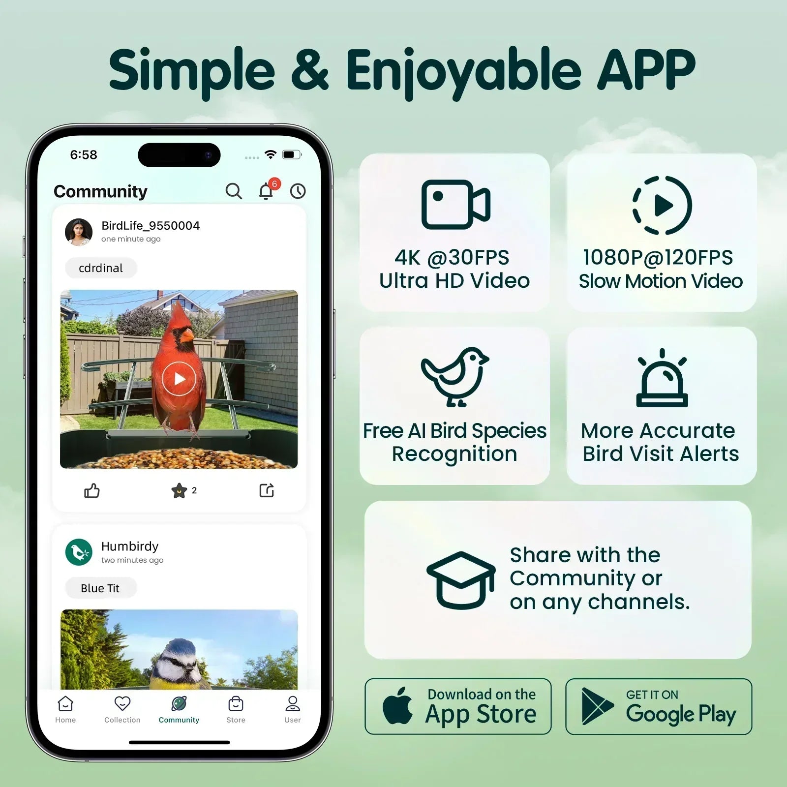Humbirdy Smart Bird Feeder with Camera, 8MP Ultra HD Photo & 4K Live Video, AI Bird Identification, Slow Motion Playback,Dual-Band Wi-Fi, Solar Powered, No Subscription, Metal Bird Watching Gift