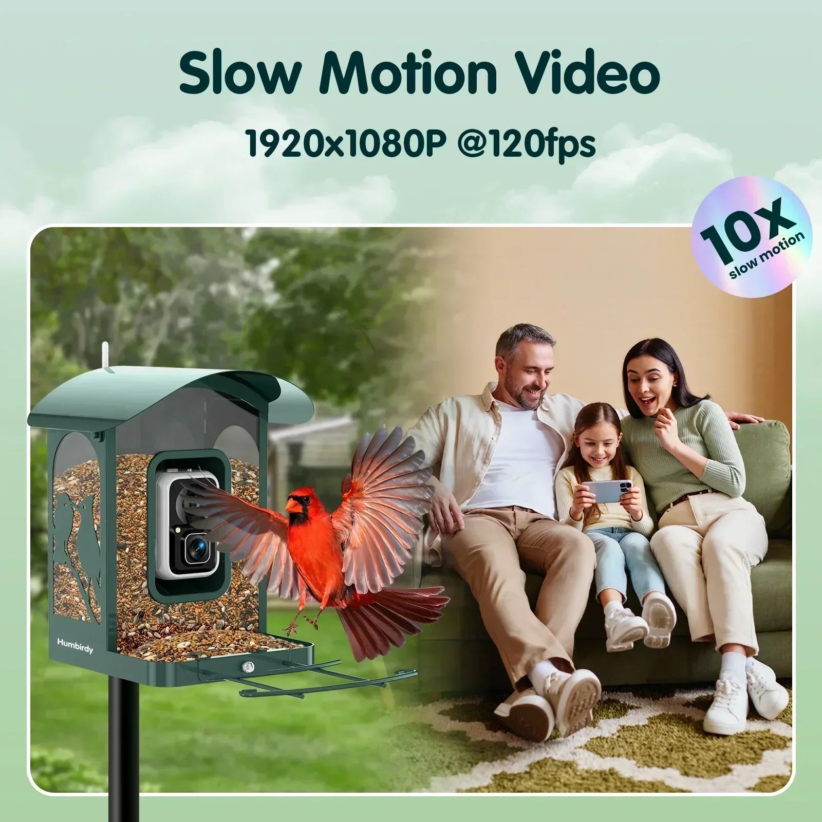 Humbirdy Smart Bird Feeder with Camera, 8MP Ultra HD Photo & 4K Live Video, AI Bird Identification, Slow Motion Playback,Dual-Band Wi-Fi, Solar Powered, No Subscription, Metal Bird Watching Gift