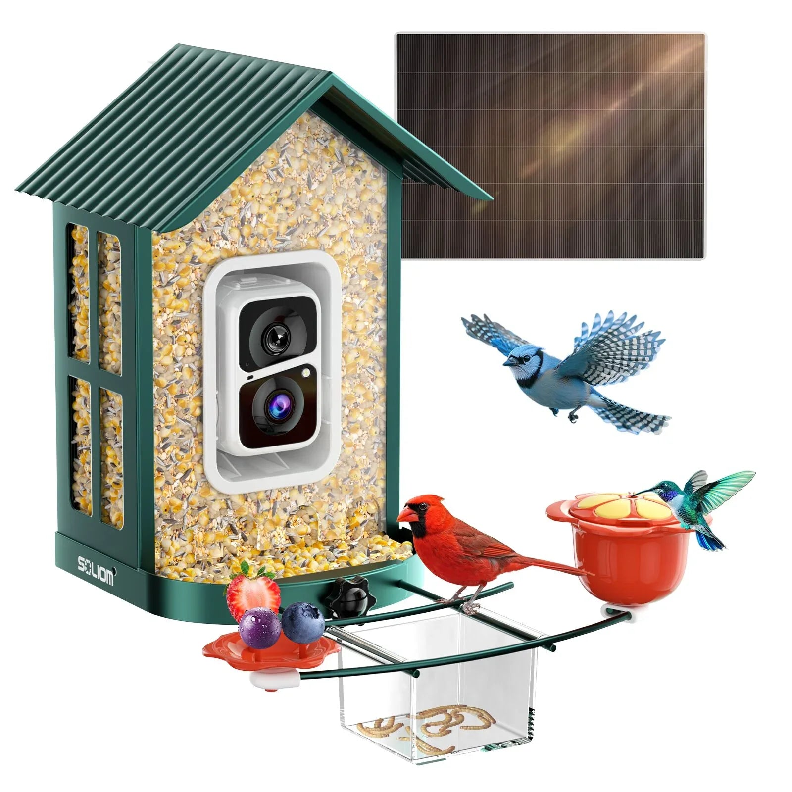 Soliom BF08S Smart Bird Feeder With Solar Power Metal Case-1.6L-with DIY Add-ons, 2K resolution - Soliom