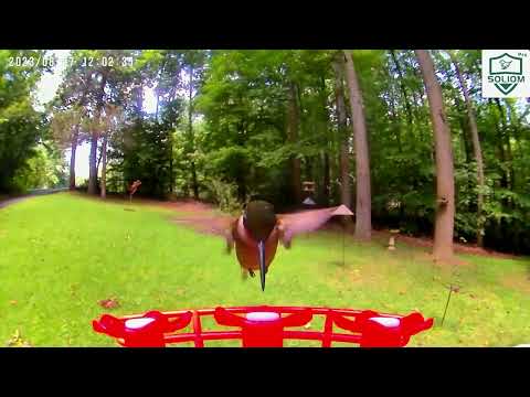 SOLIOM® BF10 Smart Hummingbird Feeder AI Camera, HD Wireless Bird watching Live Cam, 16 oz Nectar for hummingbird, Clean Easy, Leak Proof, Red