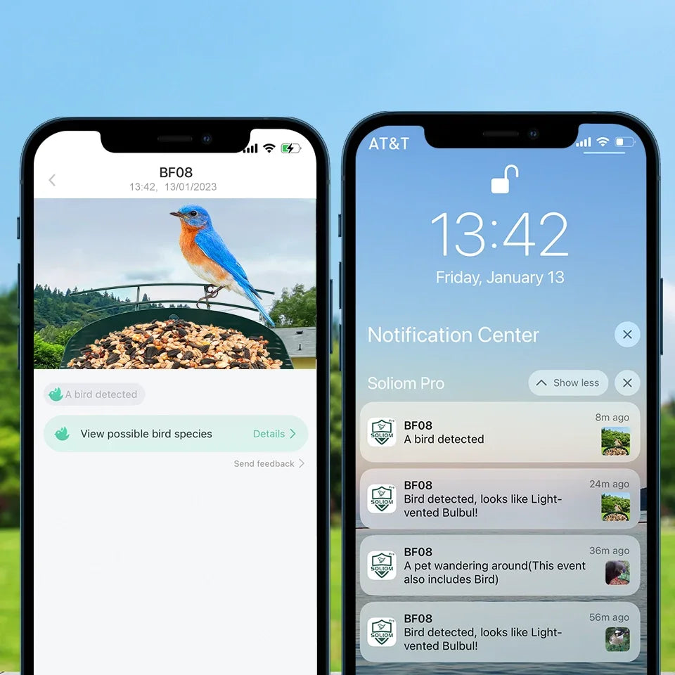 Soliom BF08 Smart Bird Feeder With Camera-AI Recognition,Metal Case-2.7L - Soliom