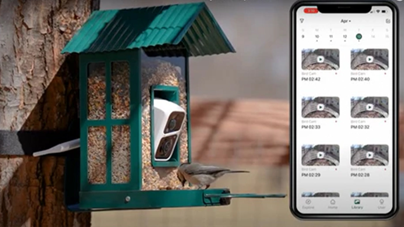 Discover the Fascinating World of Birds with SOLIOM BF08-Smart Bird Feeder Camera