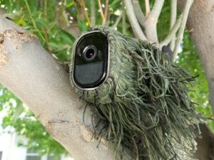 Trail camera camouflaged with green foliage cover mounted on tree branch outdoors