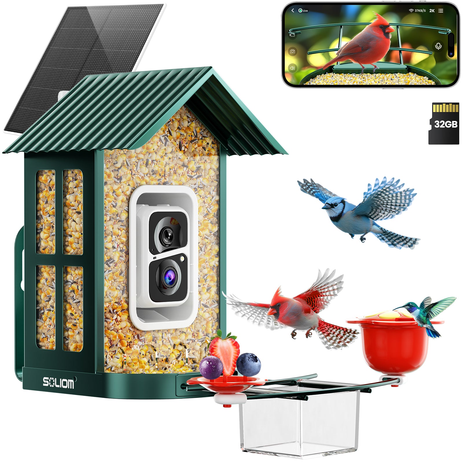 SOLIOM® BF08s AI Smart Bird Feeder Camera with 2K Live Video, DIY Feeder Add-ons, 1.6L