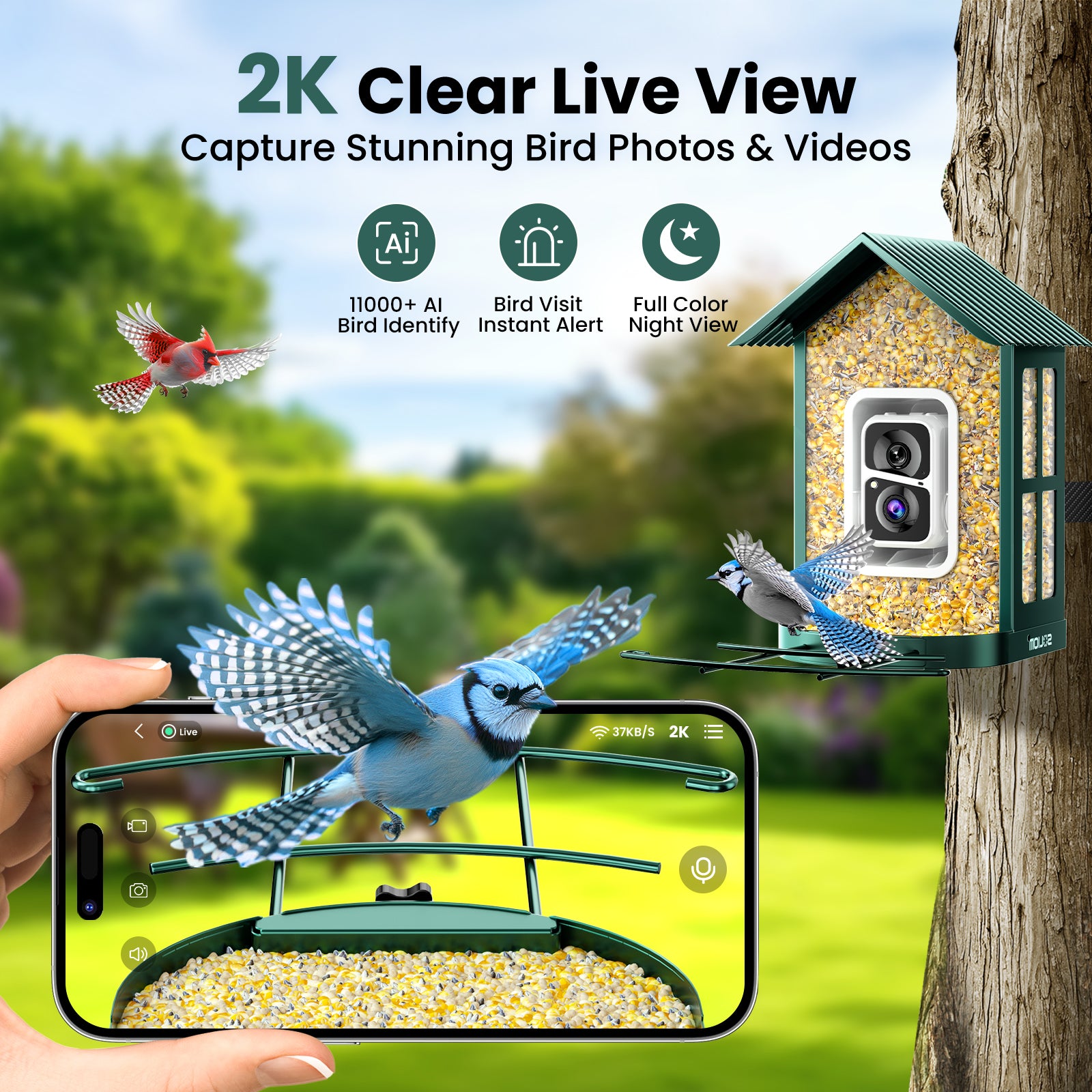 SOLIOM® BF08s AI Smart Bird Feeder Camera, DIY Feeder Add-ons