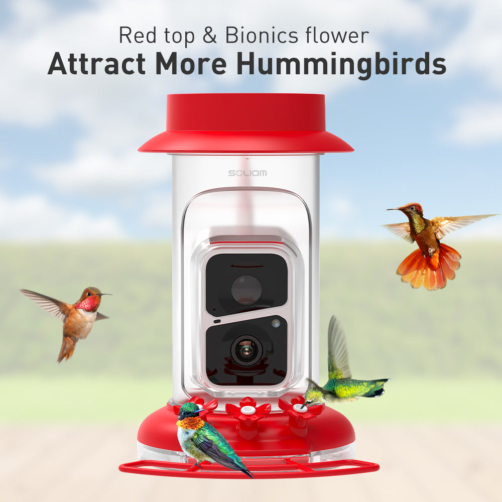 SOLIOM™ Smart Hummingbird Feeder with Ai Camera Live View, Easy Clean