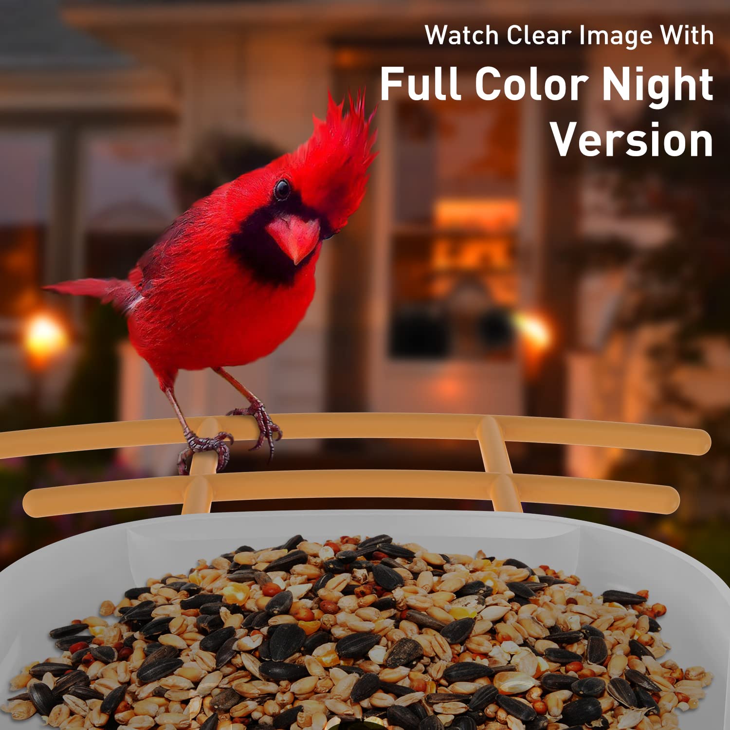 Soliom BF09-Bird Feeder with Camera Wireless Outdoor,Auto Record Bird Video, Instant Notifications, 5W Solar Panel and 32GB SD Card