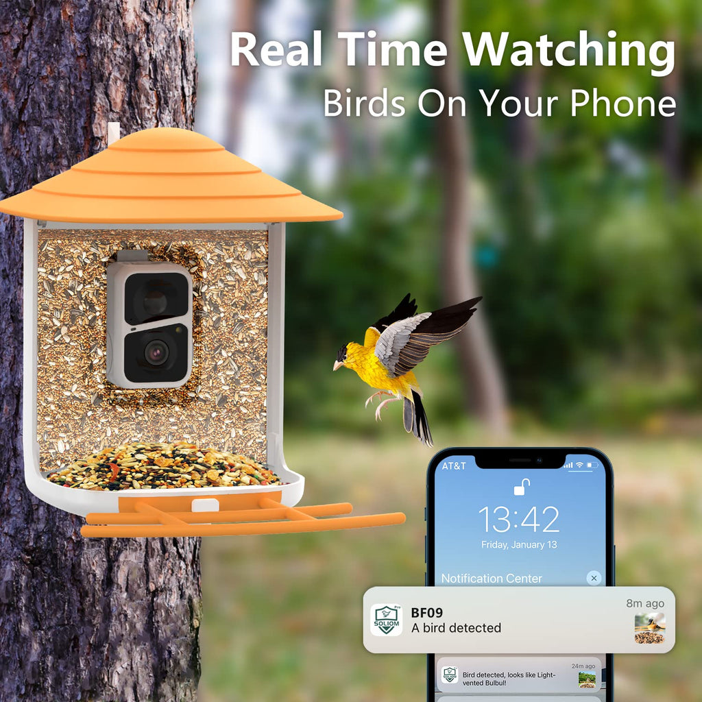 Soliom BF09-Bird Feeder with Camera Wireless Outdoor,Auto Record Bird ...