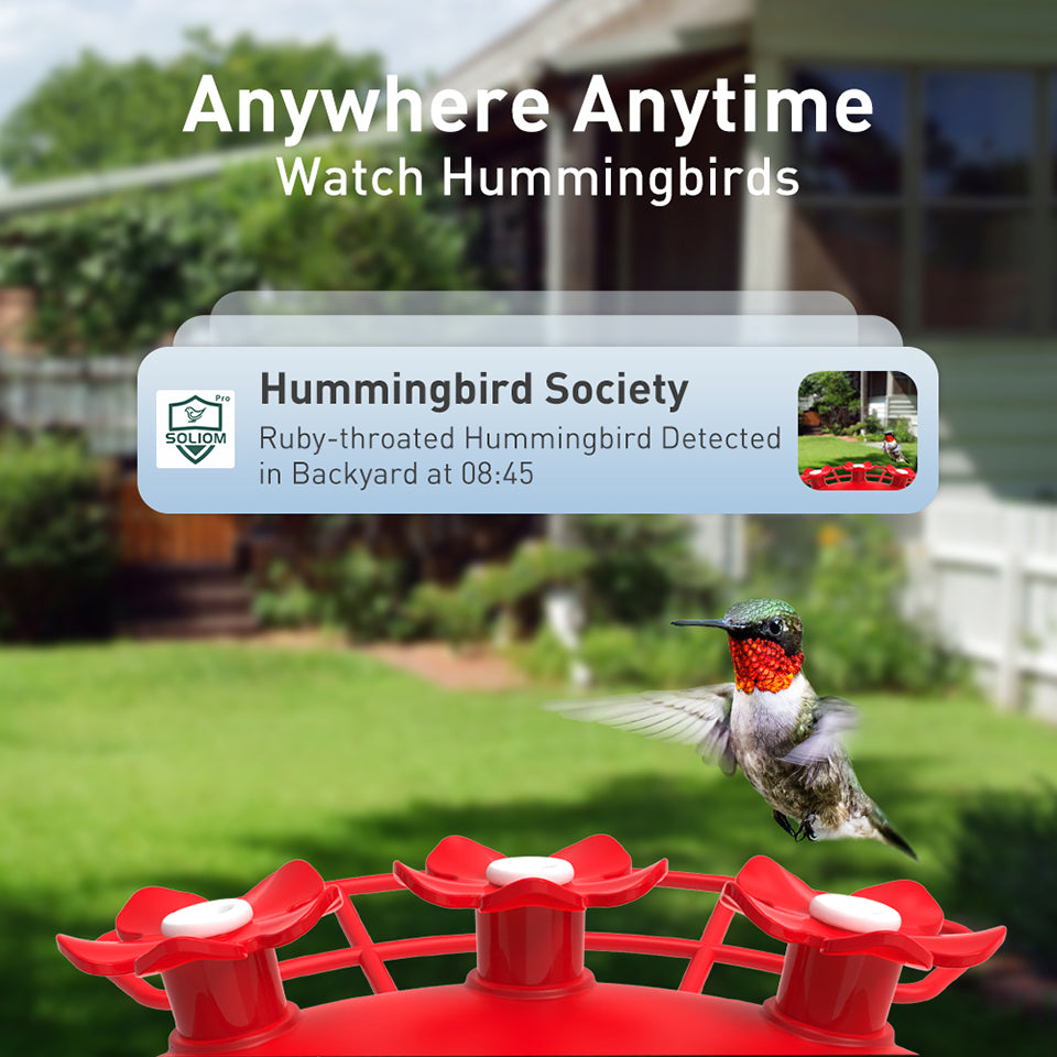 Soliom BF10 Smart Hummingbird Feeder Camera with Ant Moat (16 Ounces)