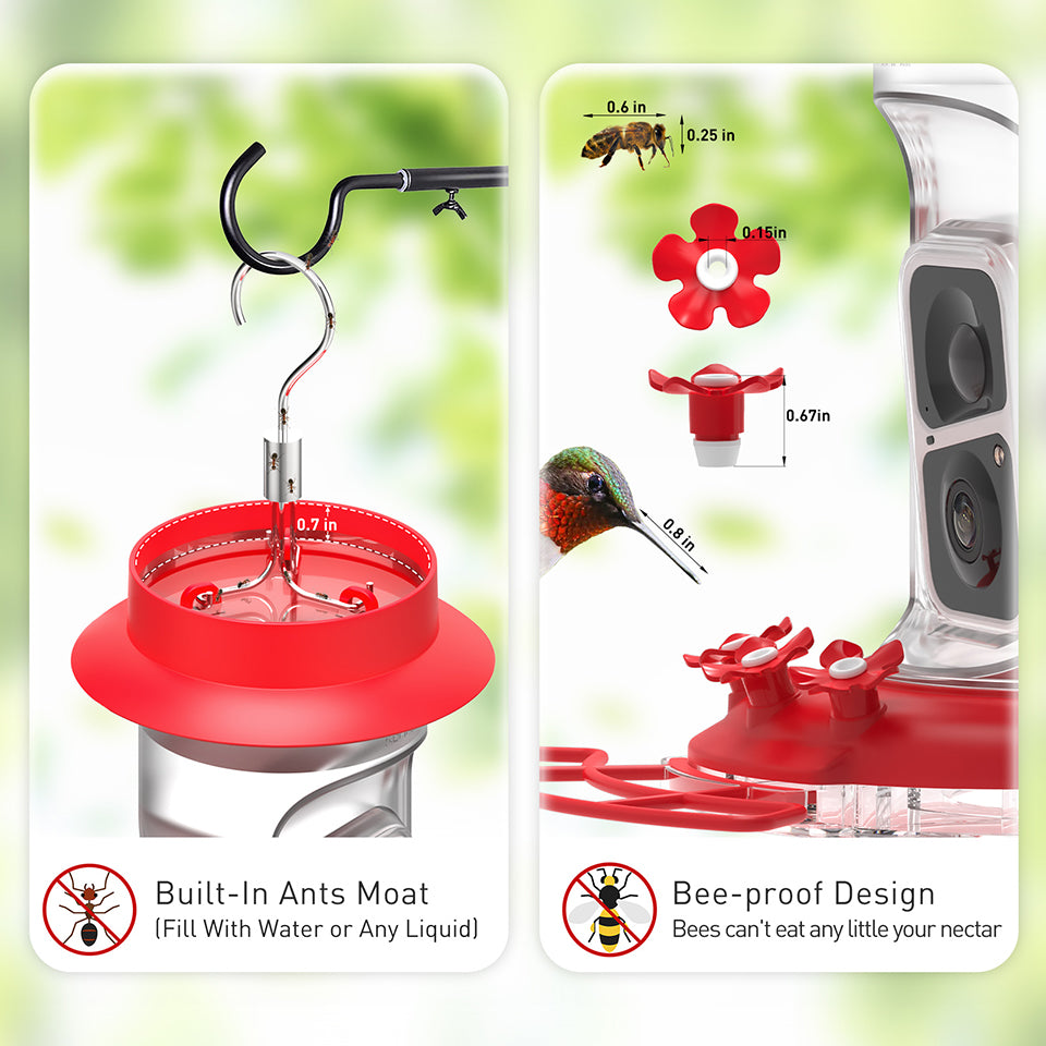 Soliom BF10 Smart Hummingbird Feeder Camera with Ant Moat (16 Ounces)