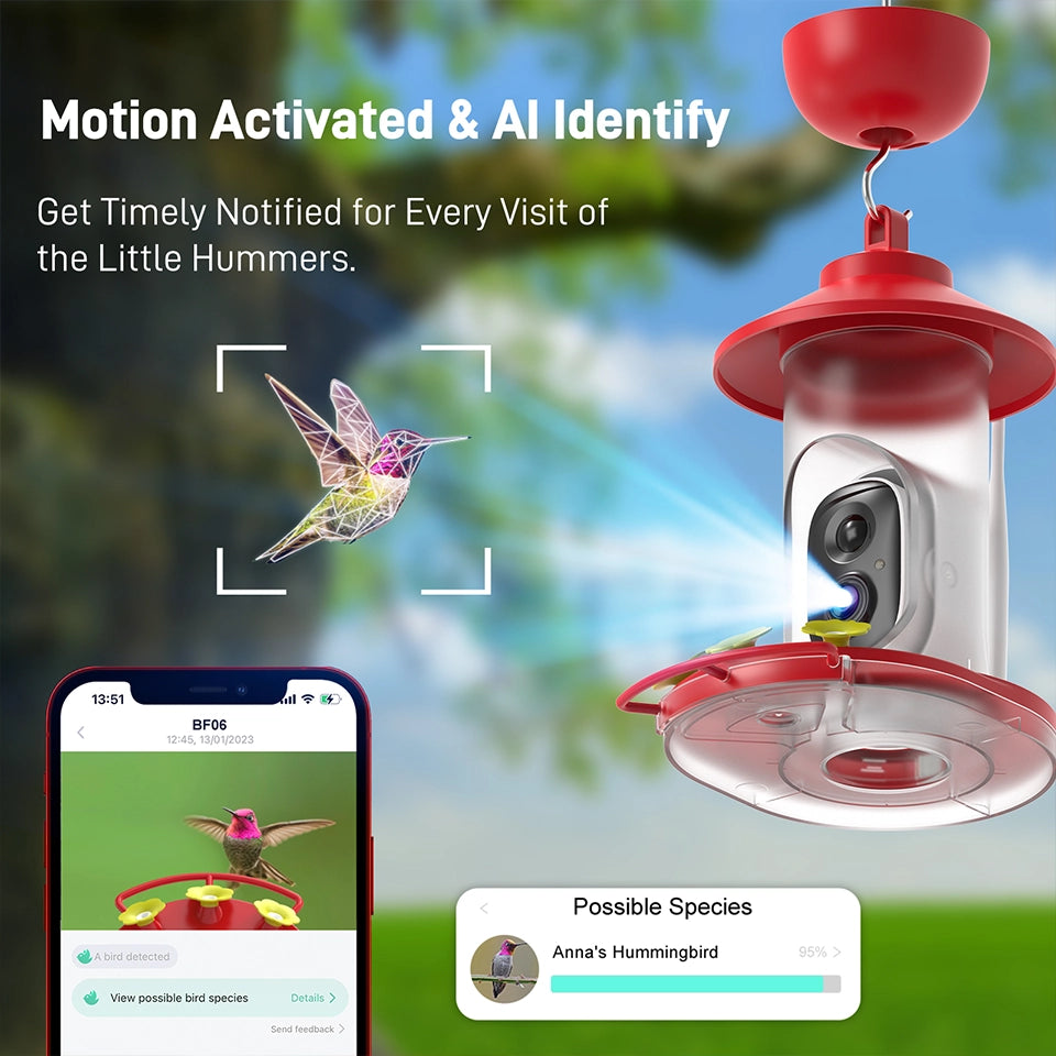 Soliom BF06 Smart Hummingbird Feeder with 2K Camera