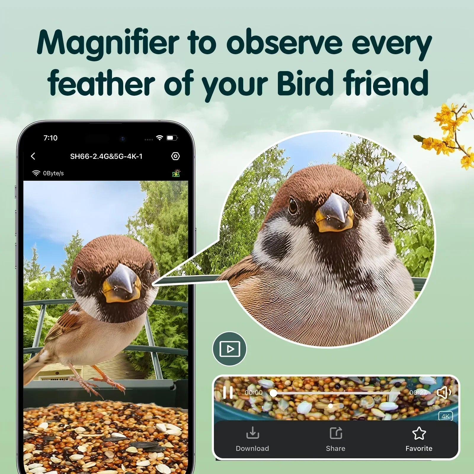 Humbirdy Smart Bird Feeder with Camera, 8MP Ultra HD Photo & 4K Live Video, AI Bird Identification, Slow Motion Playback,Dual-Band Wi-Fi, Solar Powered, No Subscription, Metal Bird Watching Gift