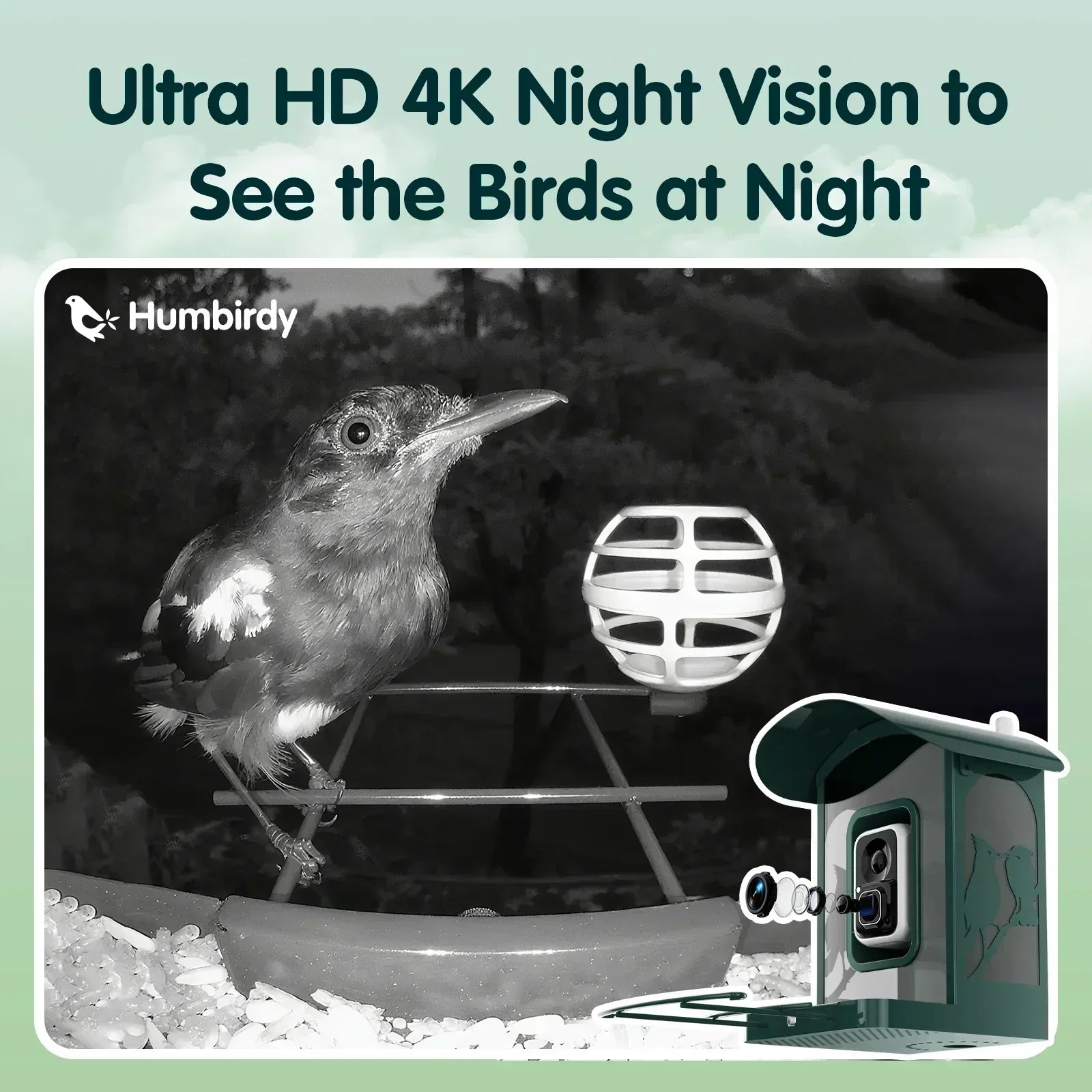 Humbirdy Smart Bird Feeder with Camera, 8MP Ultra HD Photo & 4K Live Video, AI Bird Identification, Slow Motion Playback,Dual-Band Wi-Fi, Solar Powered, No Subscription, Metal Bird Watching Gift