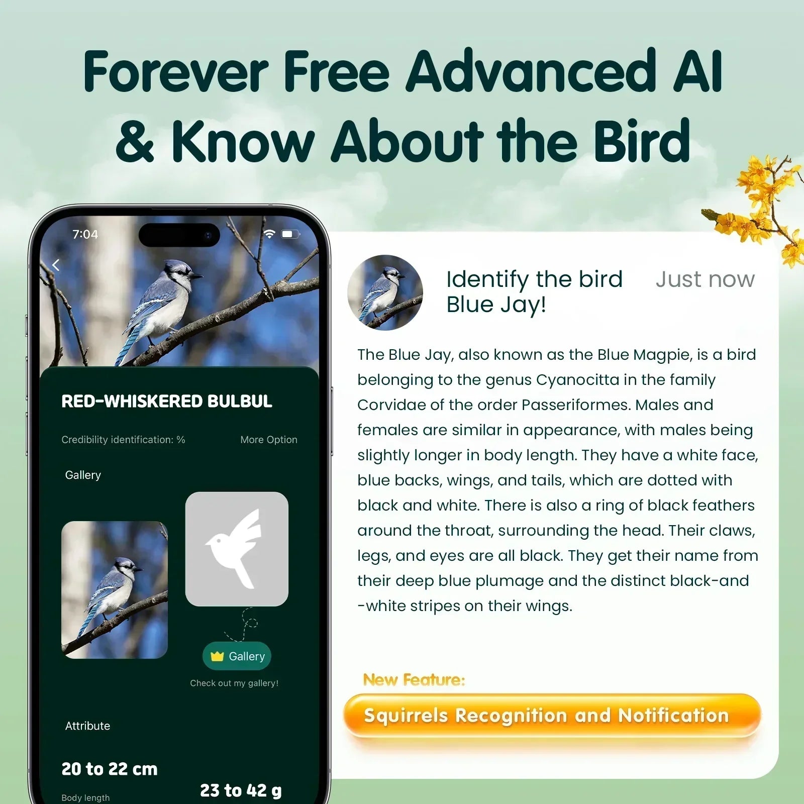 Humbirdy Smart Bird Feeder with Camera, 8MP Ultra HD Photo & 4K Live Video, AI Bird Identification, Slow Motion Playback,Dual-Band Wi-Fi, Solar Powered, No Subscription, Metal Bird Watching Gift